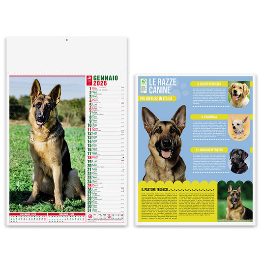 PA108 - CANI E GATTI