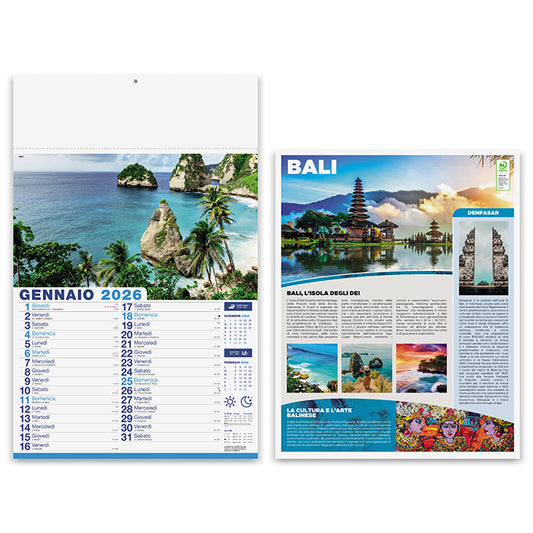 PA117 - METE DA SOGNO