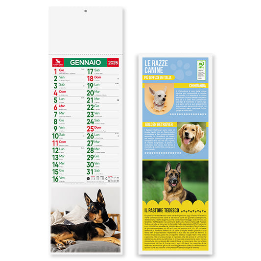 PA191 - CANI E GATTI