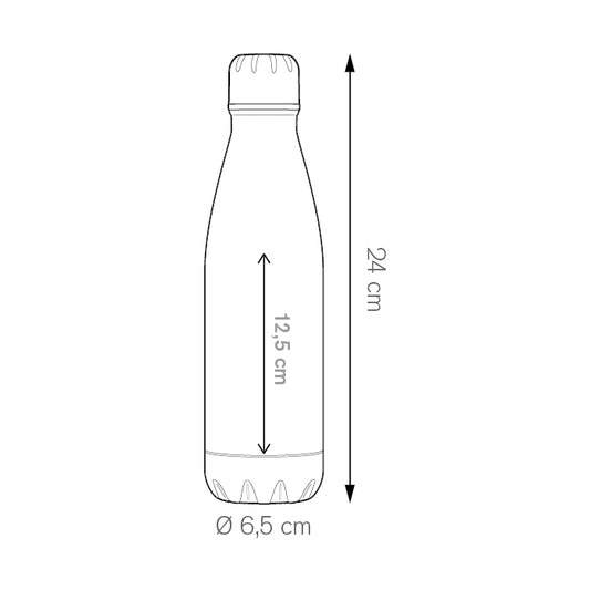 PC494 - ALUM BOTTLE 600