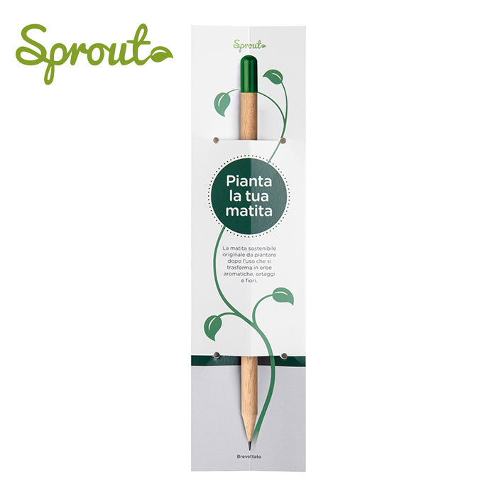 ZD050 - ASTUCCIO SPROUT