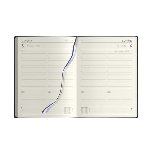 PB258 - MANAGER GIORNALIERA