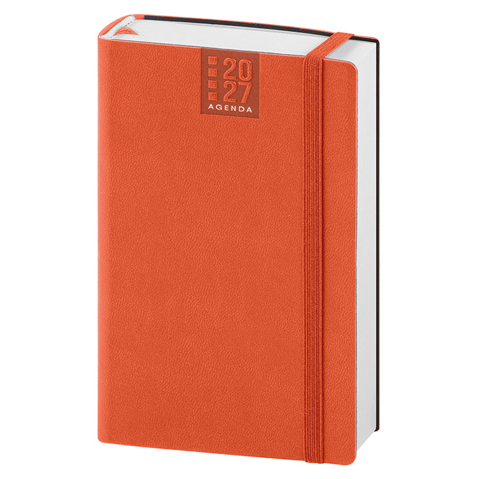 CL344 - AGENDA GIORNALIERA