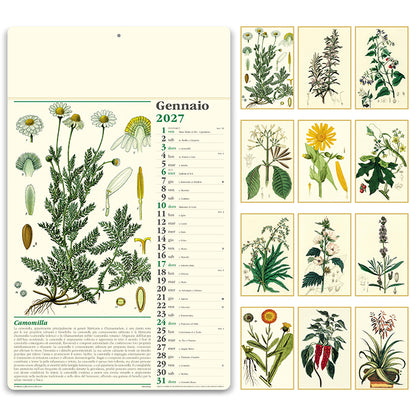 PA011 - ERBORISTERIA