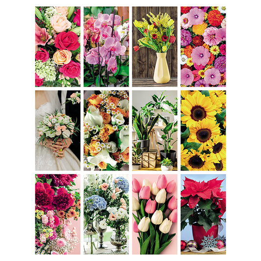 PA103 - FIORI