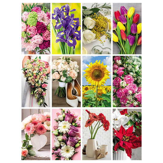 PA103 - FIORI