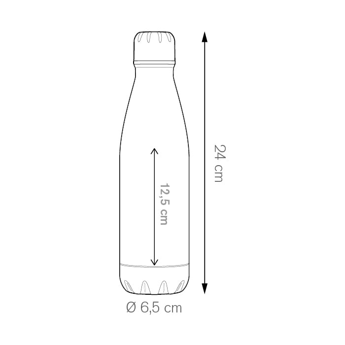 PC494 - ALUM BOTTLE 600