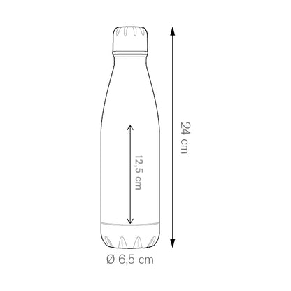 PC494 - ALUM BOTTLE 600