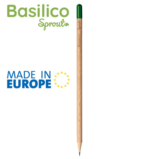 PD562 - BASILICO