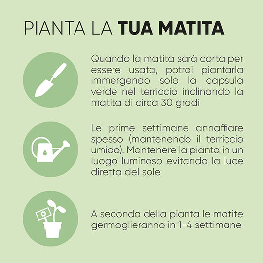 PD565 - MARGHERITA