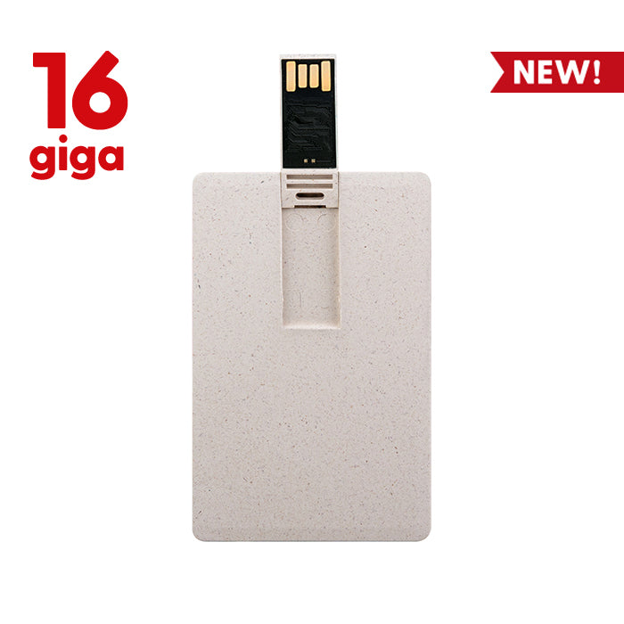 PF107-16 - MEMORY
